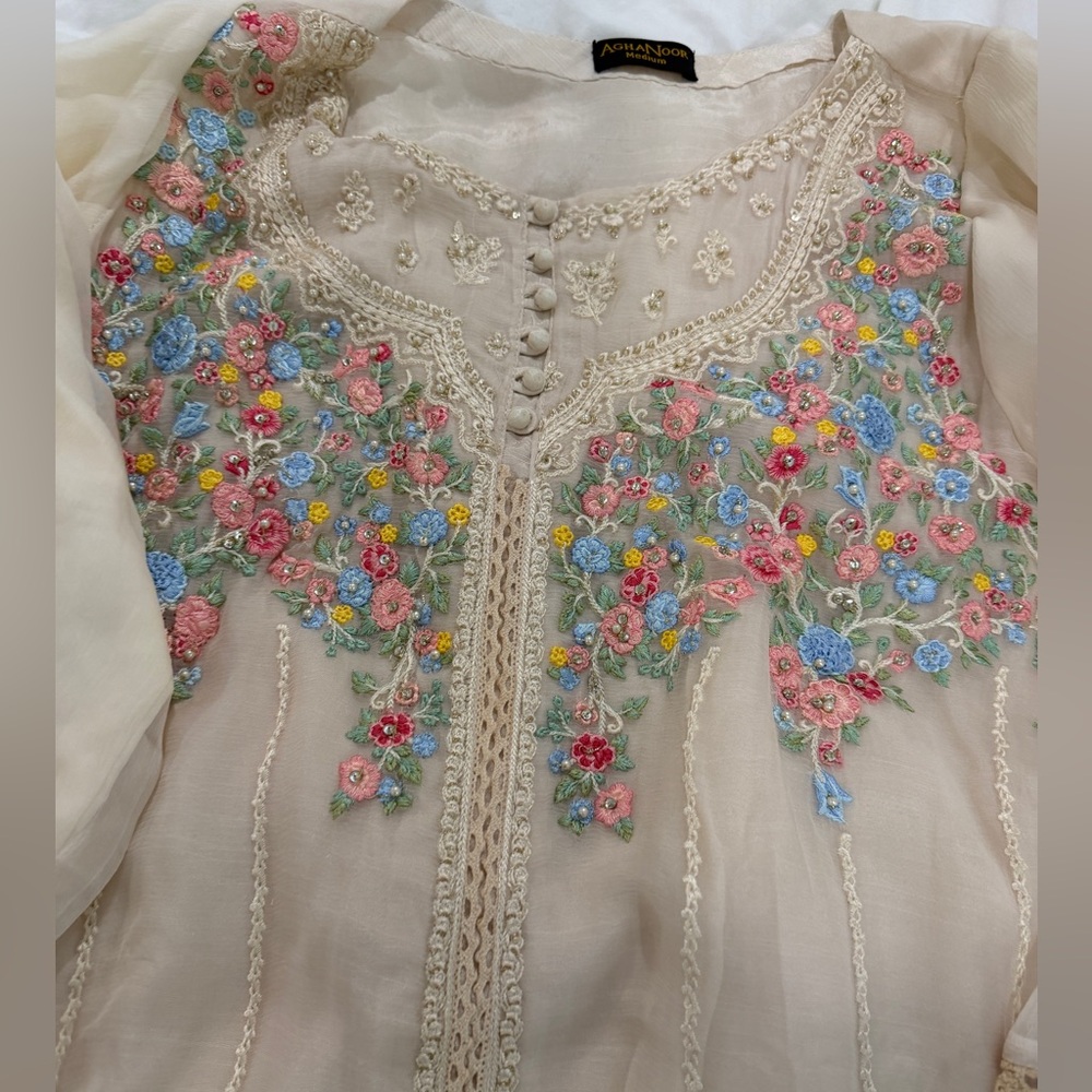 Agha noor dress - Picture 7 of 9